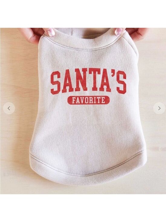 Other - Santa's Favorite Dog Sweater - White and Red